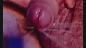 Mistress Ju Leah Intense Needle Play on Bound Slave's Cock!