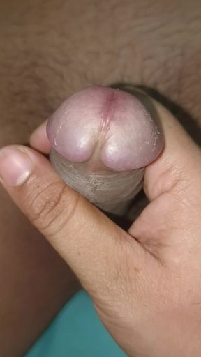 Husband Penis is Getting Ready For Sex.