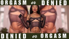 Orgasm or Denied JOI