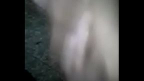 Paja Dominicana