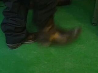 first This chab Slams Her on the Pinball Machine Then He Screws Her in the Ass on the Couch