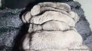 POV! Rough doggystyle in silver fox fur coat!