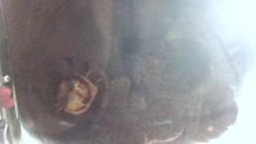 food and object crush - Muffin Mayhem: Goddess Butt Crush on Clear Chair, ass fetish, femdom, crush 4k smaller