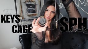 Two Keys, One Cage - SPH (pixelated)