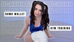 NGHH Dumb Wallet ATM Training