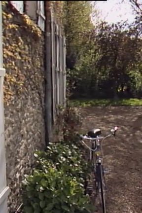 Fantastic brunettes having sex with a dude