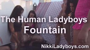 the human fountain and human swimming pool with lots of tgirls pissing