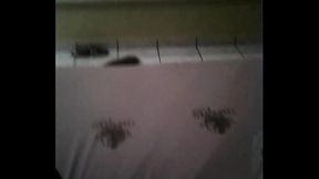 Comendo a empregada rapidinho no quarto