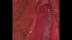 Stay by my side, secretly fucked by stepson while her husband has a barbecue