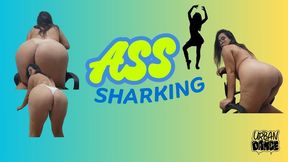 ASS SHARKING