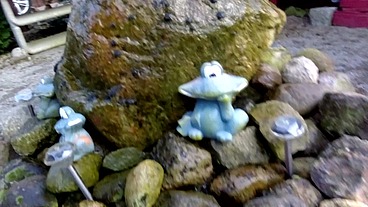Sexy Strumpfhose im Garten