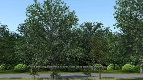 Summer of love: cuckold boyfriend watches how his girl cheats him and gets fucked with a strap-on by another girl ep 19