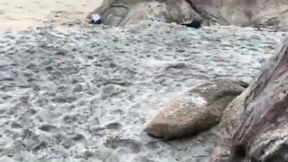 melissa lisboa fodendo gostoso na praia de nudismo com marido, fa participou nao se aguentou gozou gostoso