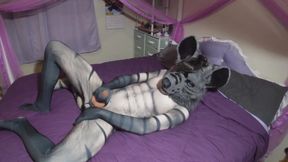 Hyena boy tears his fursuit stroking his uncut cock raw solo