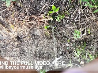 Pissing All Over My Campsite Compilation