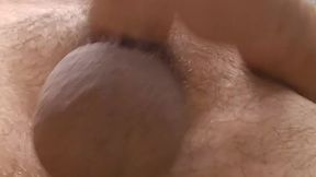 Use them before they′re gone, puppy @AngryBarks gets neutered, cums with the elastrator band on????