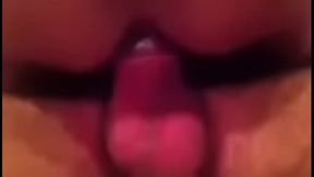 MOV 5526.mp4