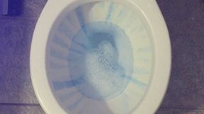 CARNIVAL TOILET TODAY