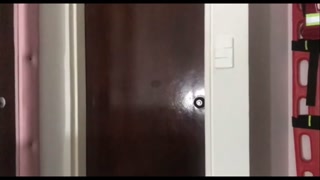 le chupo la verga a un extraño que iba en la buseta y el me chupa las tetas