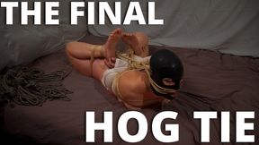 The final hog tie