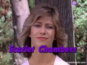 Classic Porn Dvds: Marilyn Chambers' Private Fant