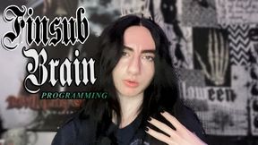 Finsub Brain Programming