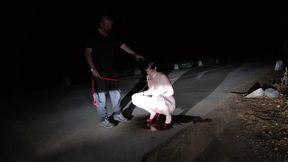 A Guy Made Me Suck His Cock and Piss at the Road