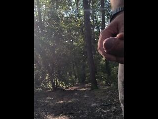 Spunk flow in the midst of the forrest