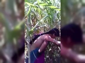 Village girl fucking in khet caught by local guys