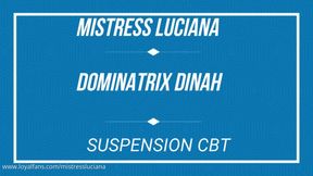 CBT Suspension