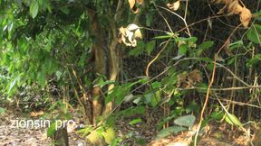 Very Black Man From Uganda Fuck Teen Big Boobs Girl Friend in Their Farmland