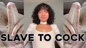 Slave To Cock - GAY JOI, ENCOURAGED BI by Goddess Ada