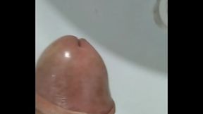 5 jatos duplos de porra