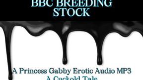 Your Wife Became a BBC Breeding Whore