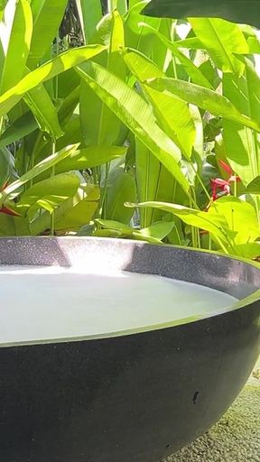 Jungle Bath Naked - Behind the Scenes