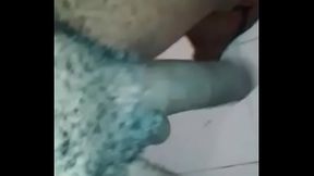 coroa dotad&atilde_o whatsapp