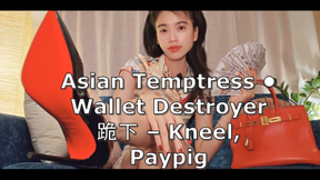 No Escape – Whale Paypig Ruined by Asian Goddess Elva