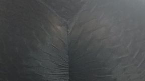 My farts on his cock so wet and vibrant in my leggings are so vibrant on his cock my farts