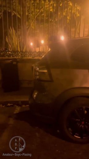 Amateur Boy Caught Peeing in the Street and Given a Helping Hand