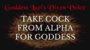 Take Alpha Cock For Goddess