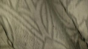 A tRue Latina Goddess in everyway