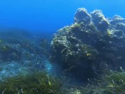 Public beach. Nude snorkeling / Underwater. Save the ocean and have fun!