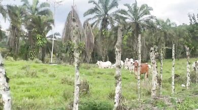 Big cock wrecks big tits on Ecuador beach gushing cum