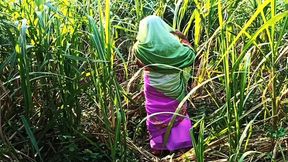 Friend catches new daughter-in-law in the sugarcane field for some dirty fun