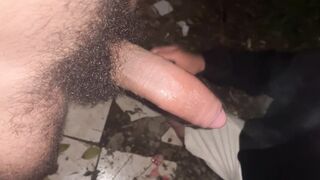 THE GARDENER COME TO SHAG MY BOOTY AFTER CONCLUDE