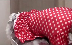 Peter went diapered sissy in pretty red dress x