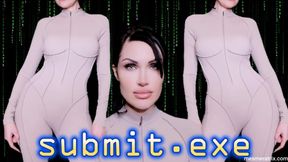 SUBMIT.EXE