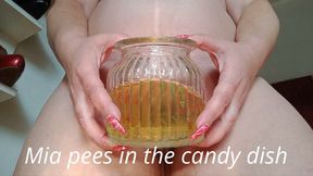 Mia pees in the candy dish