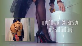 Toilet Slave Training
