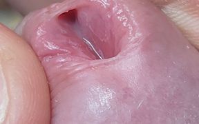 Extreme Dirty Stepdaddy's Widened Hole.